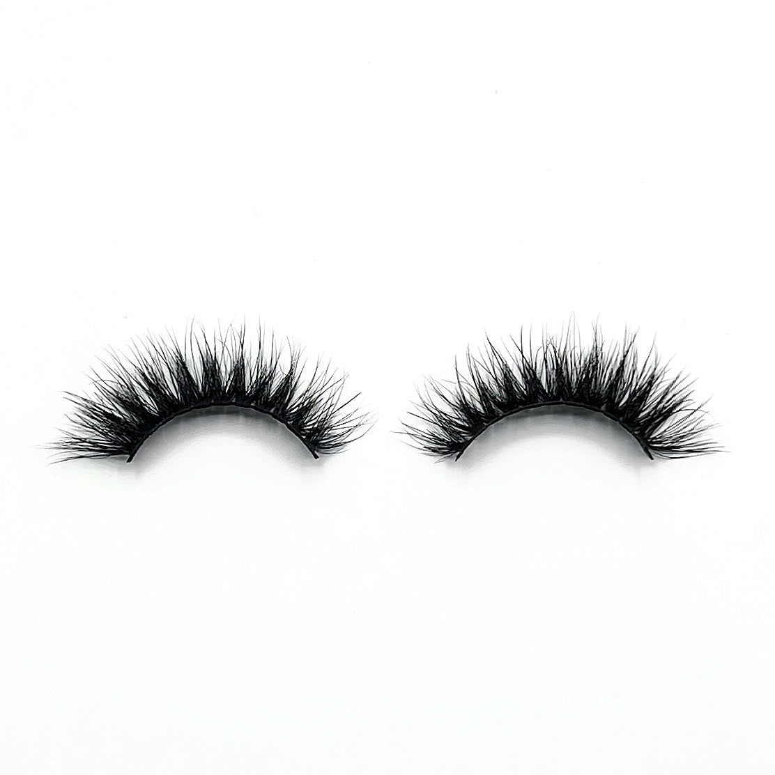LASH 'OLIVIA'